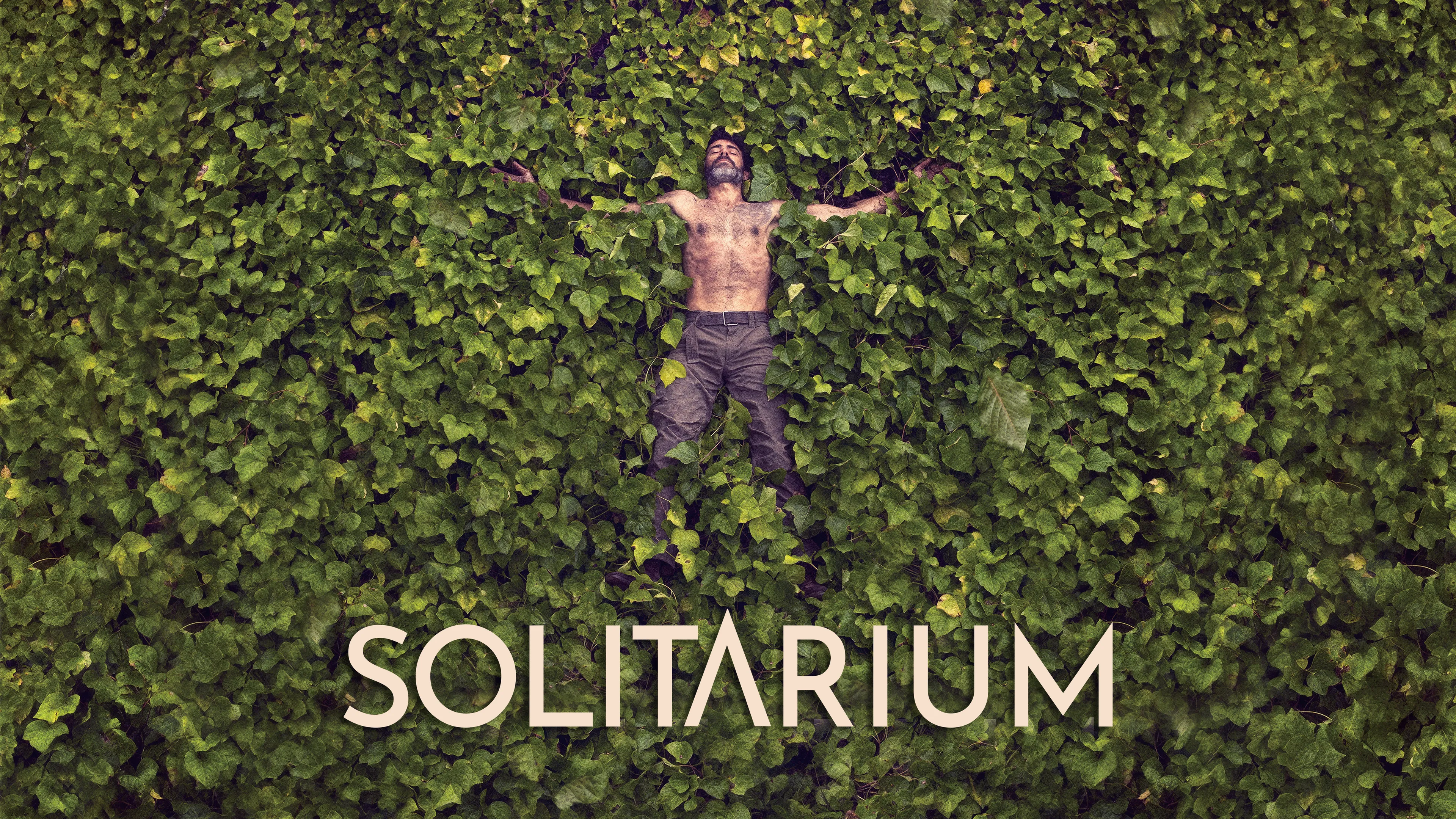 Solitarium poster